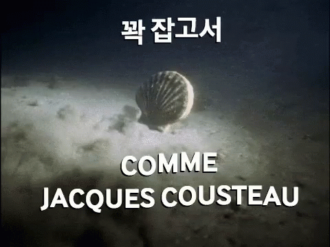 a picture of a shell on the ground that reads come jacques cousteau