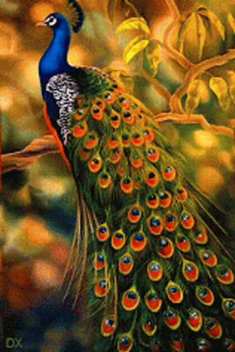 the peacock is on the tree with its tail