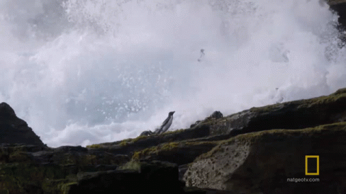 a man is standing on some rocks with the water crashing down him
