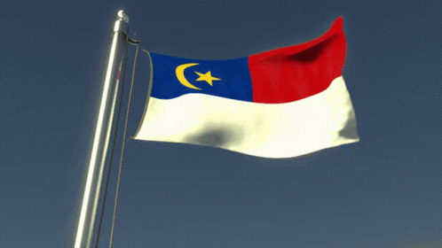 an animated flag is flying in the air