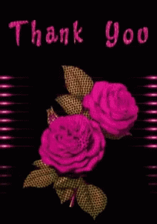 purple roses on a dark background that says thank you