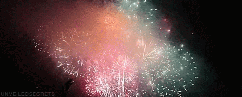 fireworks exploding in the night sky