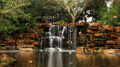 a waterfall at the end of a pool surrounded by rocks