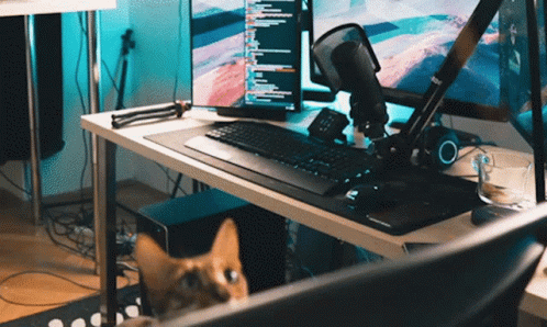 the cat is sitting near a keyboard and monitor