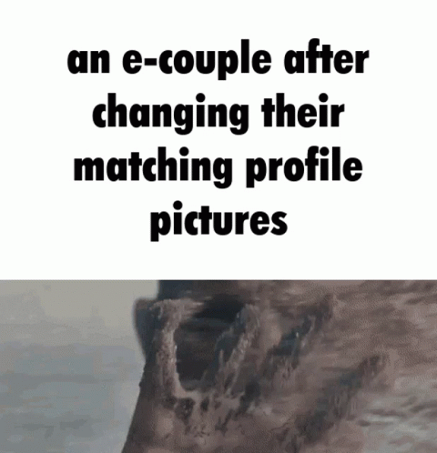 an e - couple after changing their matching profile pictures
