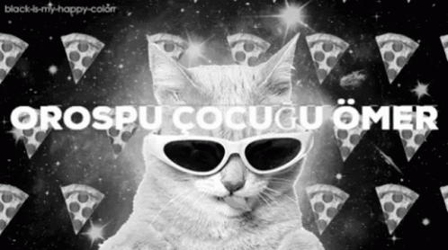 there is a cat wearing sunglasses with pizza on it