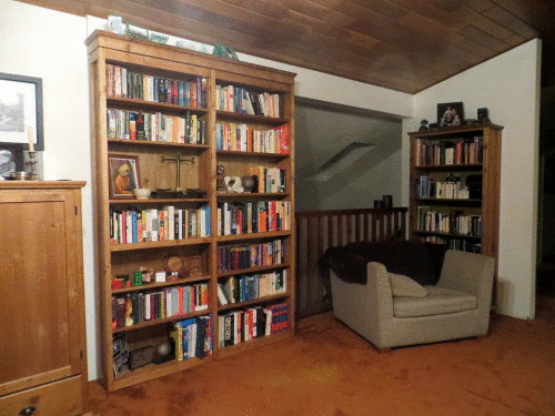 there is a bookcase and sofa in the room