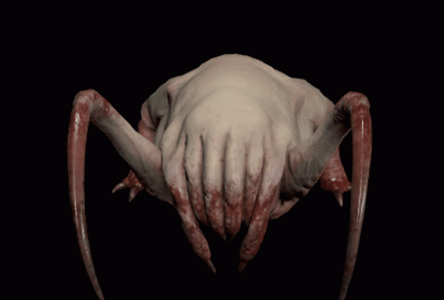 a strange looking squid in dark water