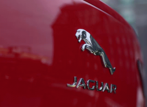 the front end of a purple jaguar sports car