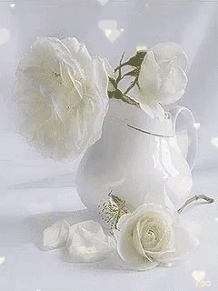 a white pitcher with three roses sitting on it