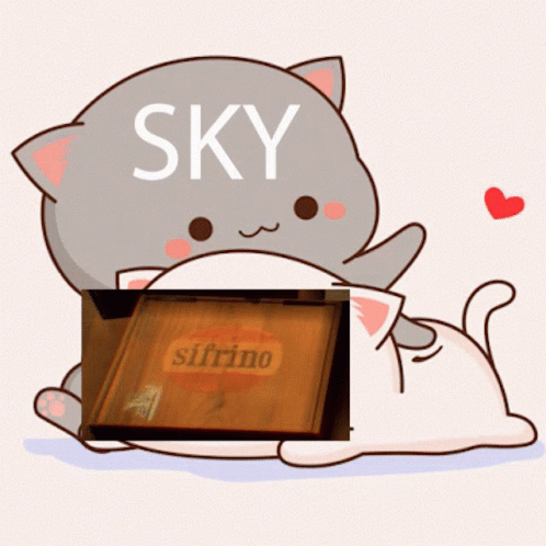 an image of a sky box with a cat on it