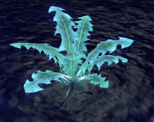 a plant is floating in the water
