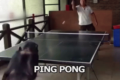 two people playing ping pong in an indoor indoor area