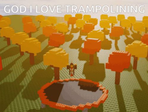 a po with words that say god love trampolinating