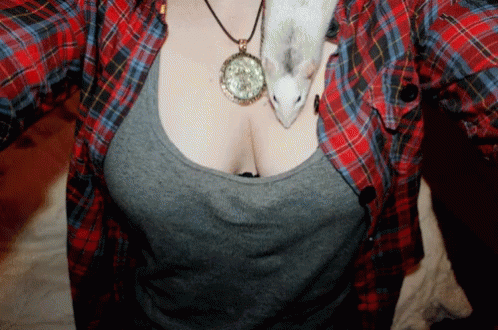 a girl in a plaid shirt with a cat hanging off her chest