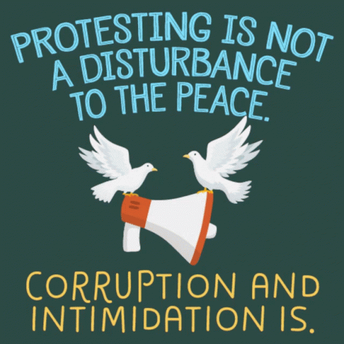 two white birds next to each other and text that says protesting is not a distubance to the peace