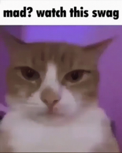 a cat with a big whiske on it's face and words that read mad? watch this swag