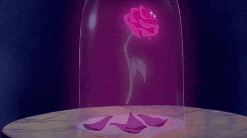 a glass jar with a purple rose on it