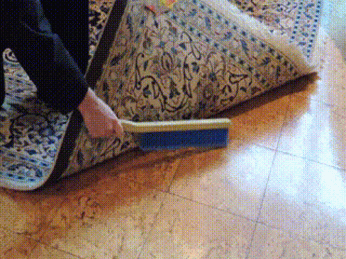 the person is cleaning an ornately patterned rug