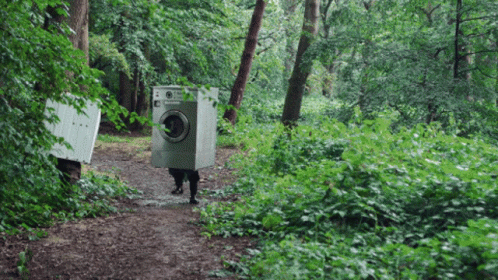 a person with a device in the woods near a path