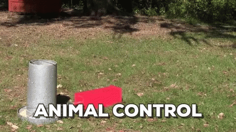 an animal control game is shown in this image