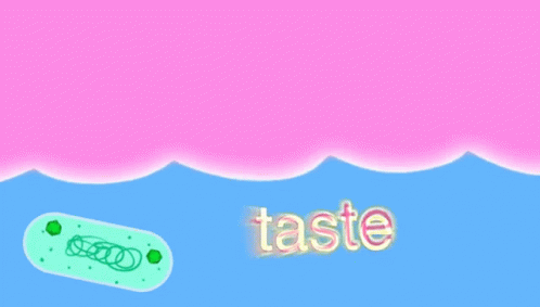 an image of taste with the words taste in blue