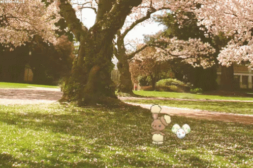 a teddy bear lying under a tree with blossoms