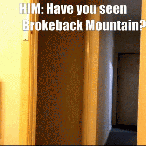 a room with a blue door and the words,'hin have you seen brokeback mountain? '
