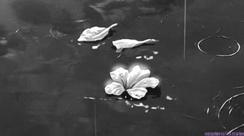 two white flowers floating on top of a water filled with ripples