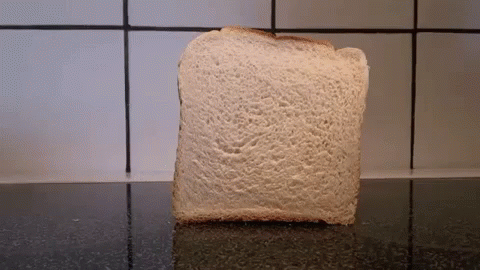 a piece of white bread sitting on top of a counter