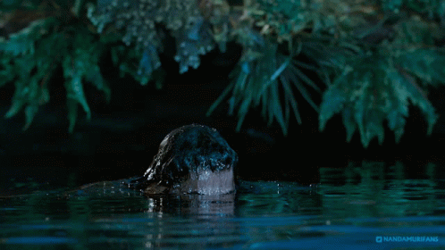a beaver in the water resting on top of a log