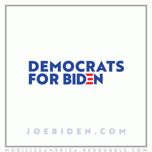 the text on a white background reads demoocats for biden