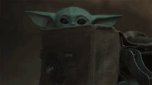 yoda sitting behind the back of a bag
