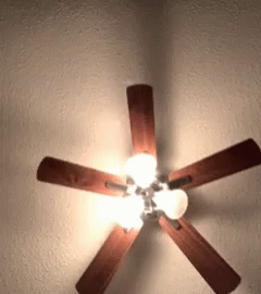 a ceiling fan with five blue blades on it