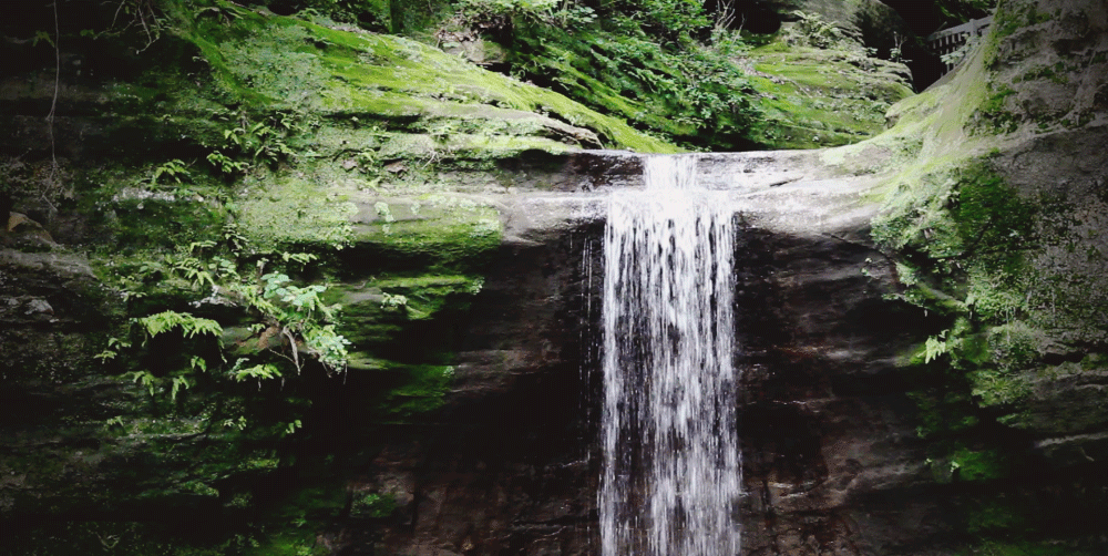 an artistic waterfall falls into the forest