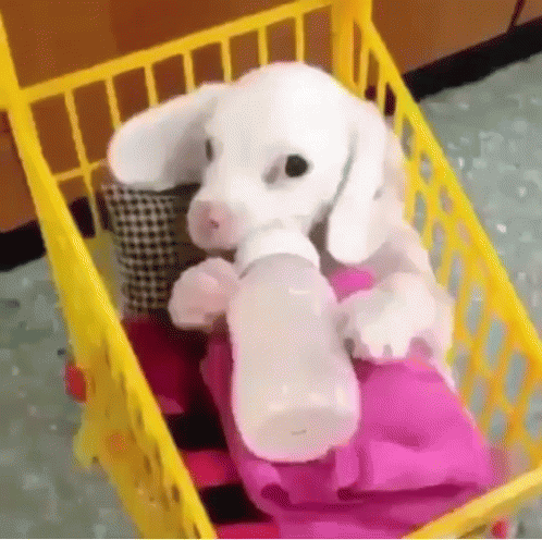a stuffed rabbit is in the storage basket