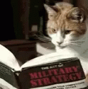 a cat sitting on top of a books cover