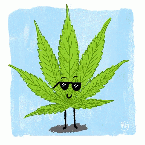 a cartoon marijuana wearing sunglasses holds a large green plant with eyes