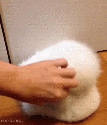 someone is making a fake fluffy ball of white material