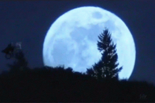 the full moon rises behind trees on a hill
