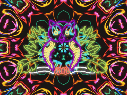 an abstract colorful po of a large owl