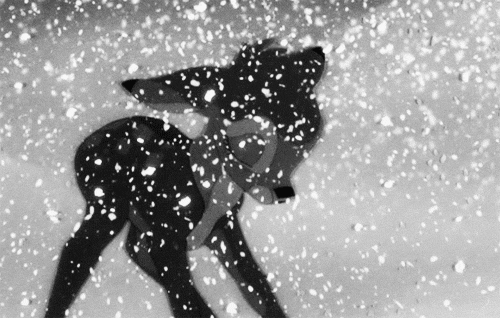 a person with a dog in the snow