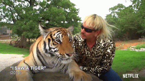 a woman in a tiger costume next to a tiger