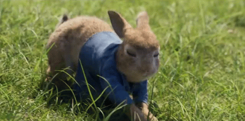 a baby goat is being walked through the grass