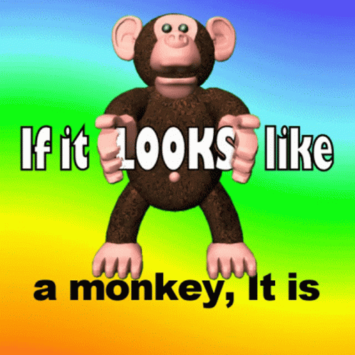 a monkey is standing with his arms folded
