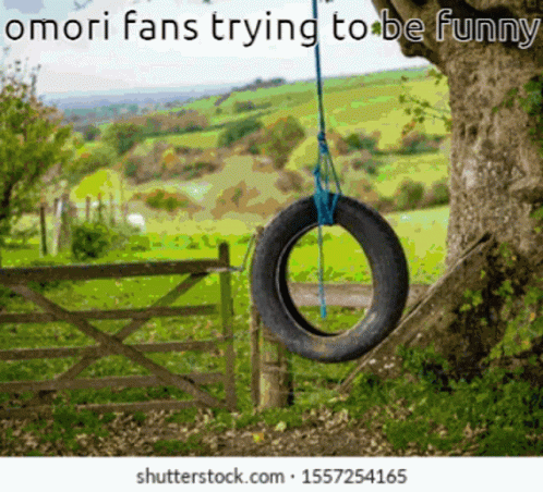 a tire is tied to a tree that's hanging off