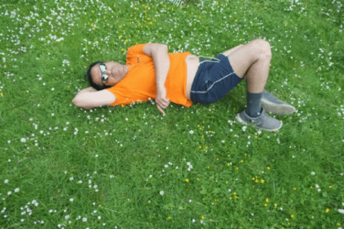 a person in a costume is laying on the ground