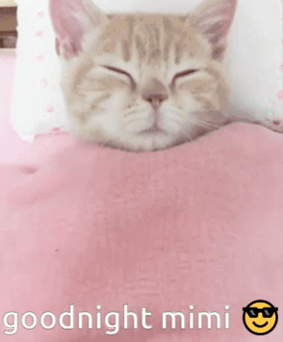 there is a cat laying in the bed with its eyes closed