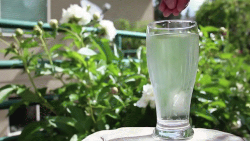 a tall clear glass filled with water next to plants