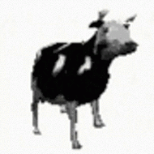 an image of a cow standing in the white snow